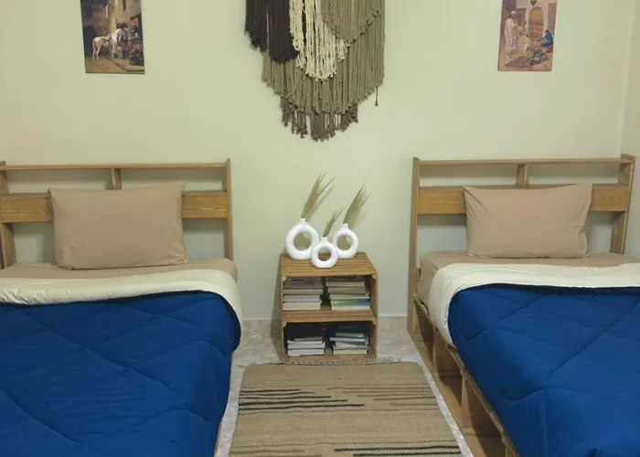 A Cozy, Pet-Friendly 2Br Spacious Basement In Maadi