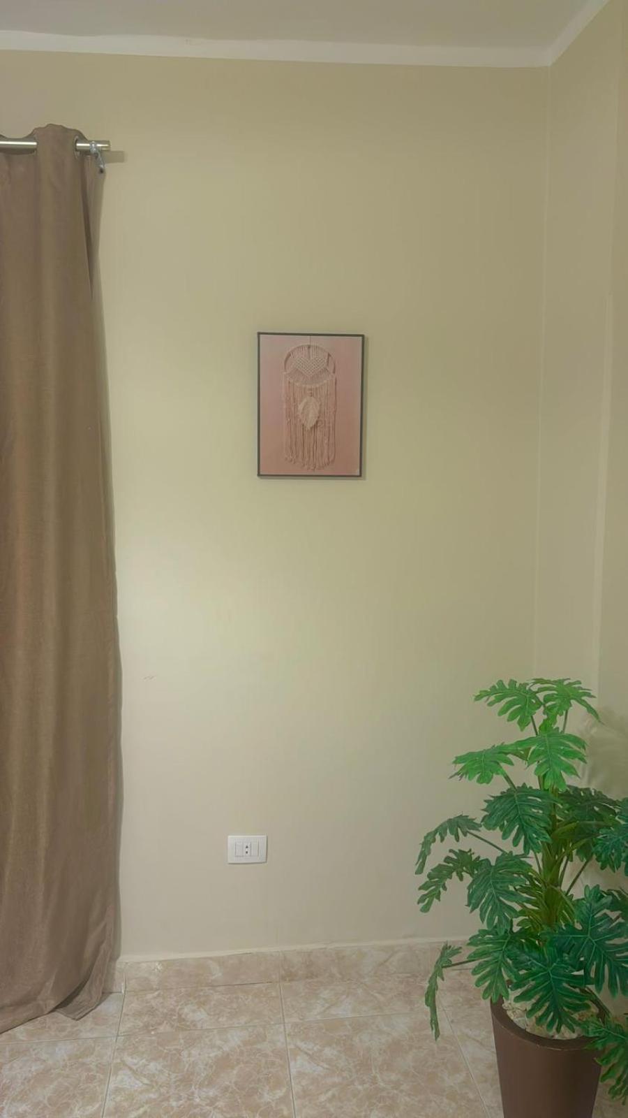 Apartment A Cozy, Pet-friendly 2br Spacious Basement In Maadi *