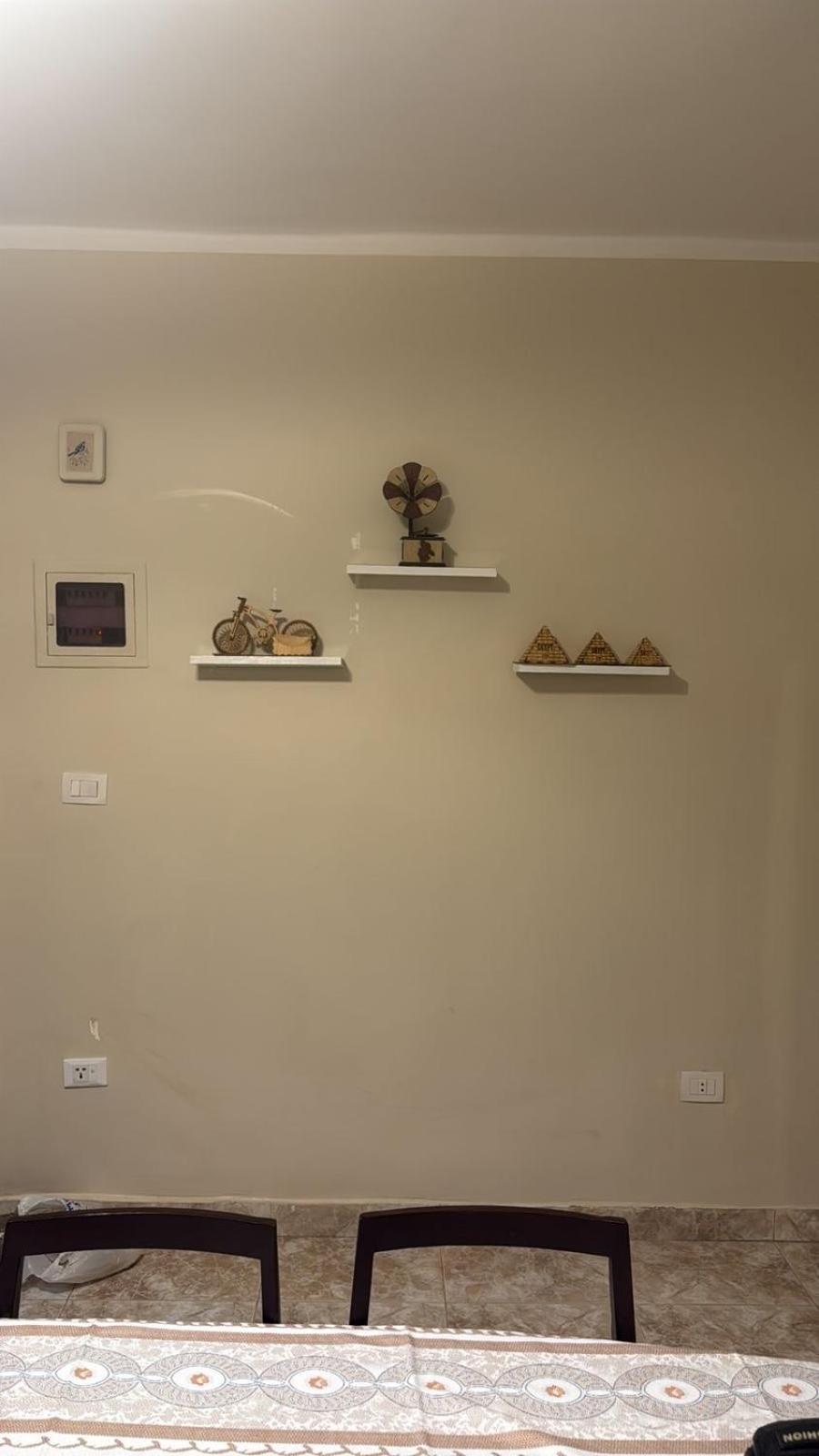 A Cozy, Pet-friendly 2br Spacious Basement In Maadi